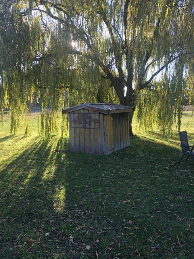 Creswick Motel Luaran gambar